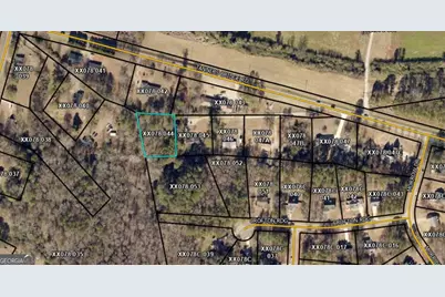 0 Tanners Bridge Road, Bethlehem, GA 30620 - Photo 1