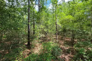 2604 River Bend Rd, Statesboro, GA 30461 - Photo 15