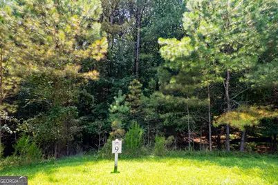 9 Foxpaw Leaf Court #9, East Ellijay, GA 30536 - Photo 7