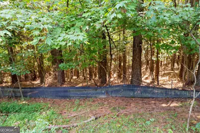 9 Foxpaw Leaf Court #9, East Ellijay, GA 30536 - Photo 23