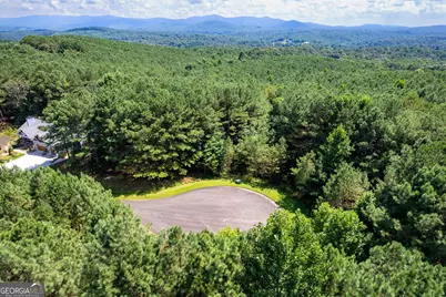 9 Foxpaw Leaf Court #9, East Ellijay, GA 30536 - Photo 9