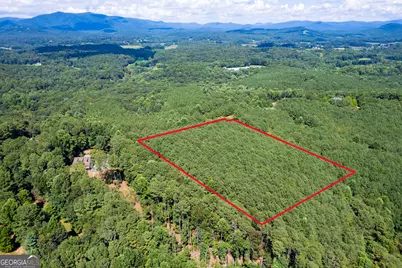 9 Foxpaw Leaf Court #9, East Ellijay, GA 30536 - Photo 17