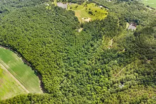 2200 Banks Dairy Rd, Portal, GA 30450 - Photo 43