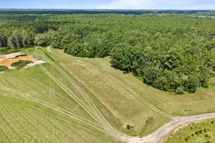 2200 Banks Dairy Rd, Portal, GA 30450 - Photo 41