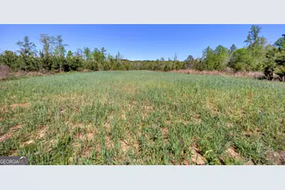 4348 Marshall Stewart Road, Crawfordville, GA 30631 - Photo 63