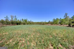 4348 Marshall Stewart Rd, Crawfordville, GA 30631 - Photo 63