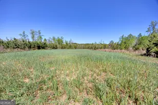 4348 Marshall Stewart Rd, Crawfordville, GA 30631 - Photo 65