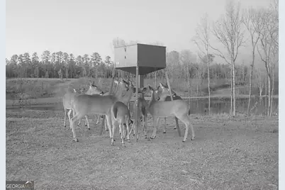 4348 Marshall Stewart Road, Crawfordville, GA 30631 - Photo 57
