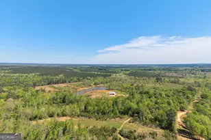 4348 Marshall Stewart Rd, Crawfordville, GA 30631 - Photo 77