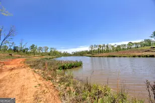4348 Marshall Stewart Rd, Crawfordville, GA 30631 - Photo 73