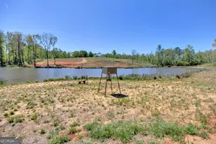 4348 Marshall Stewart Rd, Crawfordville, GA 30631 - Photo 75