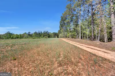 4348 Marshall Stewart Road, Crawfordville, GA 30631 - Photo 71