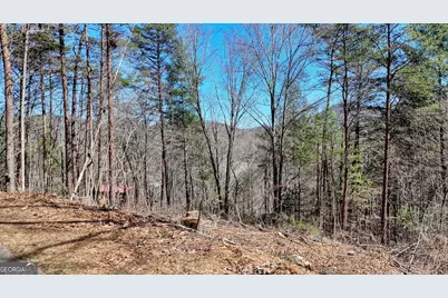 Lot 10 Firefly Ridge, Blairsville, GA 30512 - Photo 13