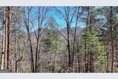 Lot 10 Firefly Ridge, Blairsville, GA 30512 - Photo 1