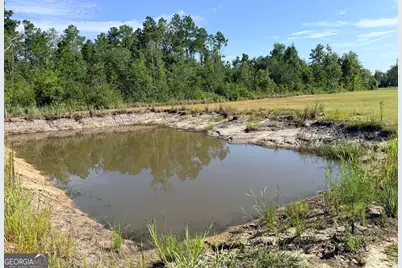 4493 Nails Ferry Road, Baxley, GA 31513 - Photo 5