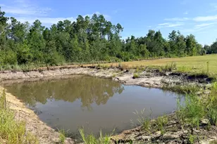4493 Nails Ferry Rd, Baxley, GA 31513 - Photo 5