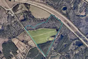 78 35 Acres Hwy 67, Brooklet, GA 30415 - Photo 1
