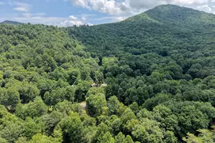 4348 White Oak Dr, Hiawassee, GA 30546 - Photo 53