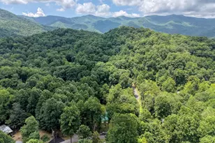 4348 White Oak Dr, Hiawassee, GA 30546 - Photo 55