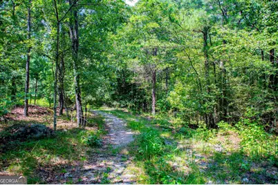 3372 East Hwy 5, Whitesburg, GA 30185 - Photo 59