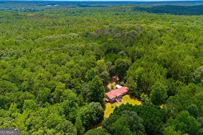 3372 East Hwy 5, Whitesburg, GA 30185 - Photo 63