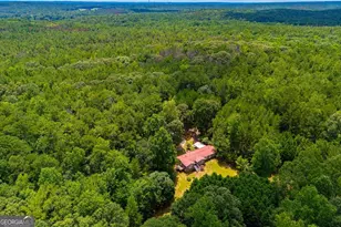 3372 East Hwy 5, Whitesburg, GA 30185 - Photo 63