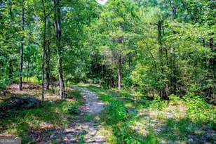 3372 East Hwy 5, Whitesburg, GA 30185 - Photo 61
