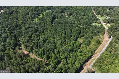 10.8 Ac Cody Road, Mount Airy, GA 30563 - Photo 13