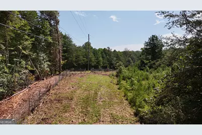 10.8 Ac Cody Road, Mount Airy, GA 30563 - Photo 15