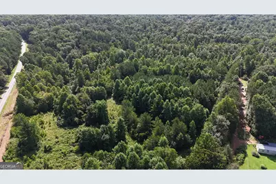 10.8 Ac Cody Road, Mount Airy, GA 30563 - Photo 11