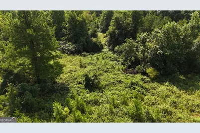 10.8 Ac Cody Road, Mount Airy, GA 30563 - Photo 19