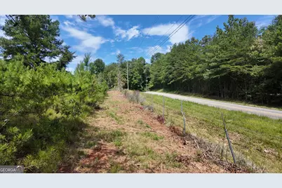 10.8 Ac Cody Road, Mount Airy, GA 30563 - Photo 7