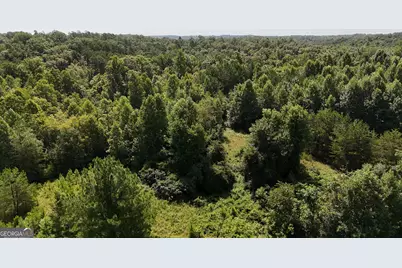 10.8 Ac Cody Road, Mount Airy, GA 30563 - Photo 21