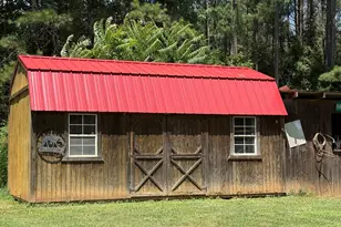 317 Crane Rd, Zebulon, GA 30295 - Photo 33