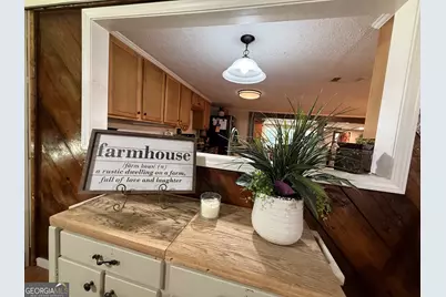317 Crane Road, Zebulon, GA 30295 - Photo 17