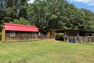 317 Crane Rd, Zebulon, GA 30295 - Photo 39