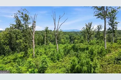 17 Mystic Drive, Ellijay, GA 30540 - Photo 21