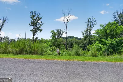 Lot 292 Highgrove Drive, Talking Rock, GA 30175 - Photo 15