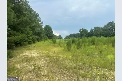 3693 Joyner Oglesby Road, Sardis, GA 30456 - Photo 23