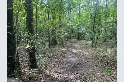 3693 Joyner Oglesby Road, Sardis, GA 30456 - Photo 21