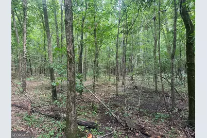 3693 Joyner Oglesby Road, Sardis, GA 30456 - Photo 25