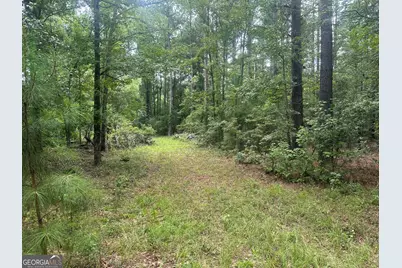 3693 Joyner Oglesby Road, Sardis, GA 30456 - Photo 17
