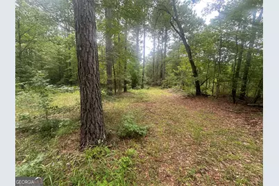 3693 Joyner Oglesby Road, Sardis, GA 30456 - Photo 15