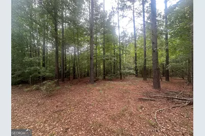 3693 Joyner Oglesby Road, Sardis, GA 30456 - Photo 13