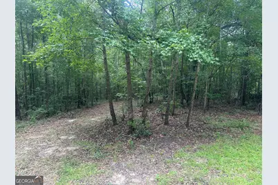 3693 Joyner Oglesby Road, Sardis, GA 30456 - Photo 31