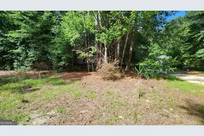 0 Martin Way, Waynesboro, GA 30830 - Photo 3