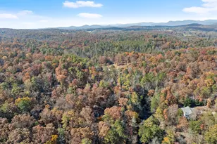 893 Hooper Rd, Cleveland, GA 30528 - Photo 59
