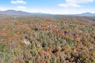 893 Hooper Rd, Cleveland, GA 30528 - Photo 61