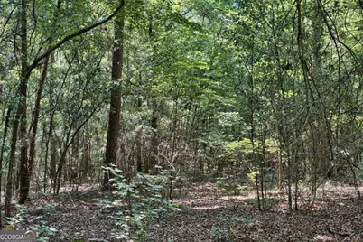 1190 Waterstone Drive, Madison, GA 30650 - Photo 9