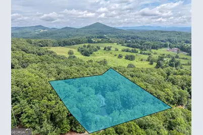 394 Sheep Stomp Road, Blairsville, GA 30512 - Photo 49